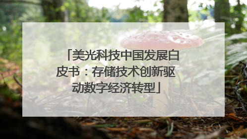 美光科技中国发展白皮书：存储技术创新驱动数字经济转型