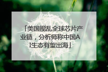 美国搅乱全球芯片产业链，分析师称中国AI生态有望出海