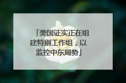 美国证实正在组建特别工作组，以监控中东局势