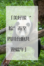 美好接“粽”而至 四川台胞共迎端午