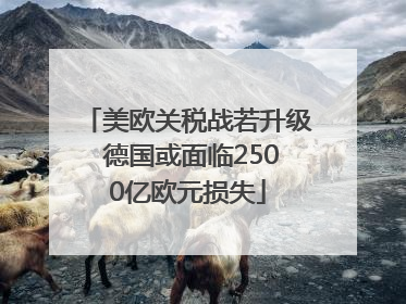 美欧关税战若升级 德国或面临2500亿欧元损失