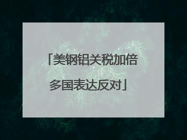美钢铝关税加倍 多国表达反对