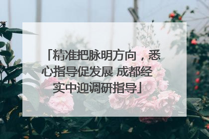 精准把脉明方向，悉心指导促发展 成都经实中迎调研指导