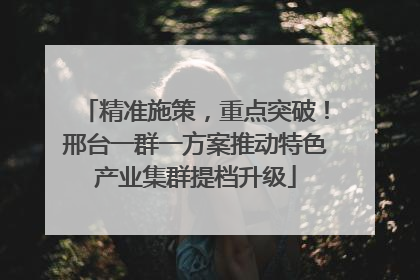 精准施策，重点突破！邢台一群一方案推动特色产业集群提档升级