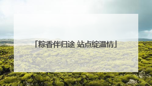 粽香伴归途 站点绽温情