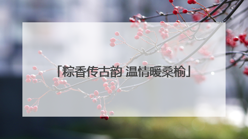粽香传古韵 温情暖桑榆