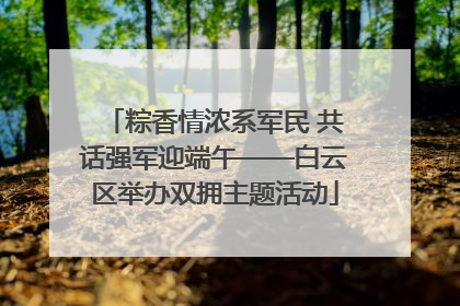 粽香情浓系军民 共话强军迎端午——白云区举办双拥主题活动