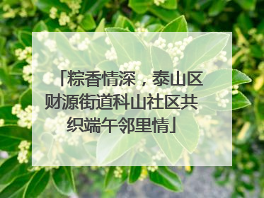 粽香情深，泰山区财源街道科山社区共织端午邻里情