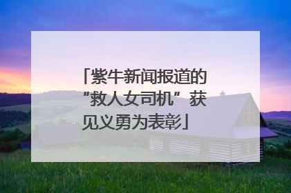 紫牛新闻报道的“救人女司机”获见义勇为表彰