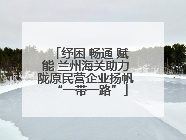 纾困 畅通 赋能 兰州海关助力陇原民营企业扬帆“一带一路”