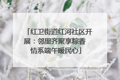 红卫街道红河社区开展：邻里齐聚享粽香 情系端午暖民心