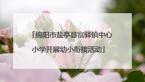 绵阳市盐亭县富驿镇中心小学开展幼小衔接活动