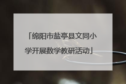 绵阳市盐亭县文同小学开展数学教研活动