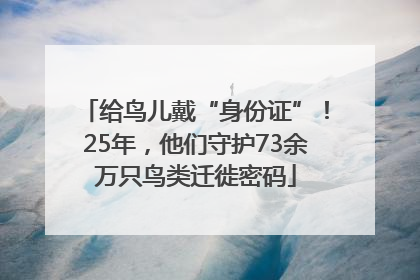 给鸟儿戴“身份证”！25年，他们守护73余万只鸟类迁徙密码