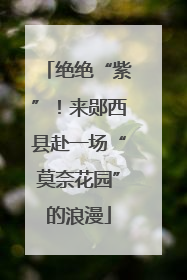 绝绝“紫”！来郧西县赴一场“莫奈花园”的浪漫