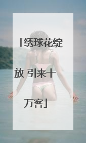 绣球花绽放 引来十万客