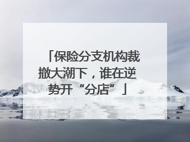 保险分支机构裁撤大潮下，谁在逆势开“分店”