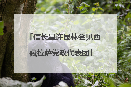 信长星许昆林会见西藏拉萨党政代表团