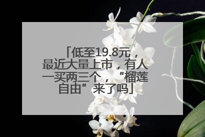 低至19.8元，最近大量上市，有人一买两三个，“榴莲自由”来了吗