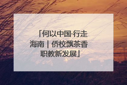 何以中国·行走海南｜侨校飘茶香 职教新发展