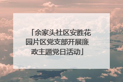 余家头社区安胜花园片区党支部开展廉政主题党日活动