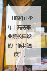 临科正少年｜高等职业院校建设的“临科速度”