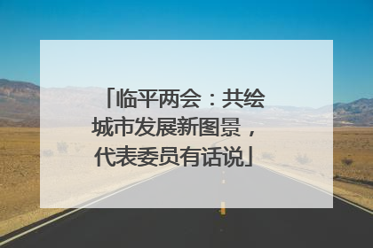 临平两会：共绘城市发展新图景，代表委员有话说