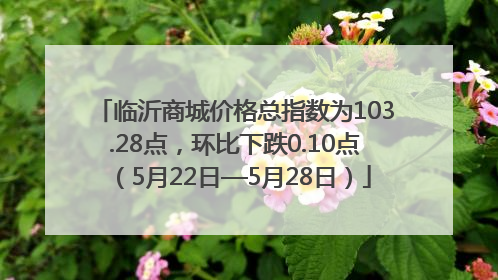 临沂商城价格总指数为103.28点，环比下跌0.10点（5月22日—5月28日）