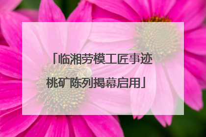 临湘劳模工匠事迹桃矿陈列揭幕启用