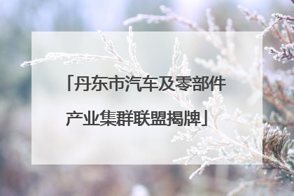 丹东市汽车及零部件产业集群联盟揭牌