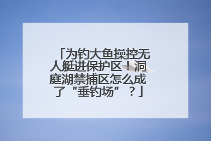 为钓大鱼操控无人艇进保护区！洞庭湖禁捕区怎么成了“垂钓场”？