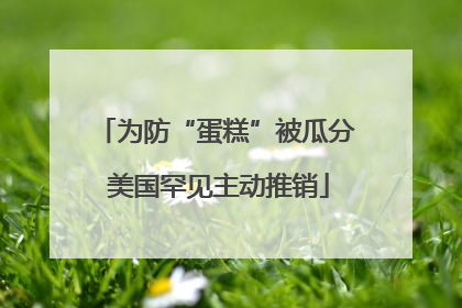 为防“蛋糕”被瓜分 美国罕见主动推销
