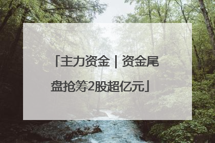 主力资金｜资金尾盘抢筹2股超亿元