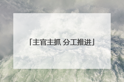 主官主抓 分工推进