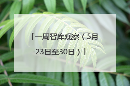 一周智库观察（5月23日至30日）