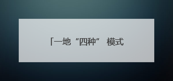 一地“四种” 模式任选 从定制小菜园看城乡融合新图景