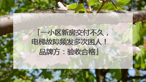 一小区新房交付不久，电梯故障频发多次困人！品牌方：验收合格