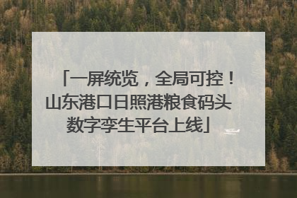 一屏统览，全局可控！山东港口日照港粮食码头数字孪生平台上线