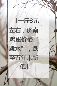 一斤3元左右，济南鸡蛋价格“跳水”，跌至五年来新低