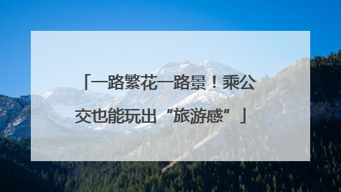 一路繁花一路景！乘公交也能玩出“旅游感”