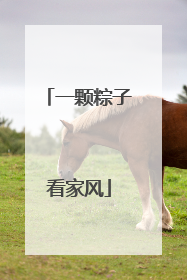 一颗粽子看家风
