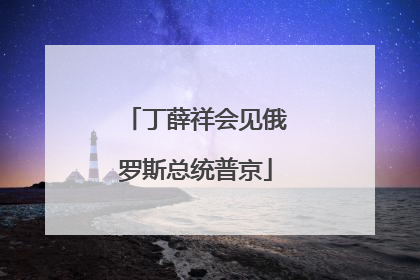 丁薛祥会见俄罗斯总统普京
