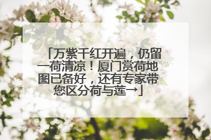 万紫千红开遍，仍留一荷清凉！厦门赏荷地图已备好，还有专家带您区分荷与莲→