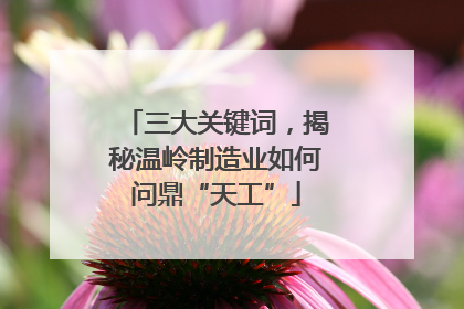 三大关键词，揭秘温岭制造业如何问鼎“天工”
