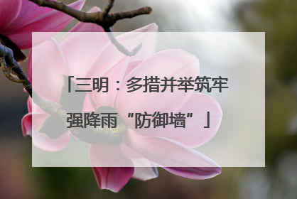 三明：多措并举筑牢强降雨“防御墙”