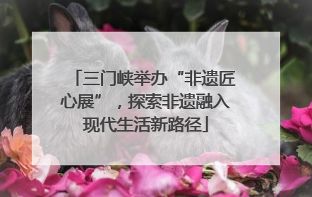 三门峡举办“非遗匠心展”，探索非遗融入现代生活新路径