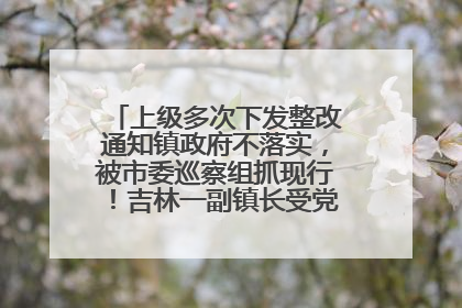 上级多次下发整改通知镇政府不落实，被市委巡察组抓现行！吉林一副镇长受党内警告处分