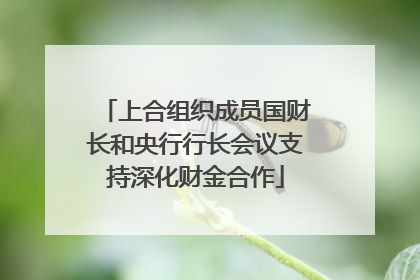 上合组织成员国财长和央行行长会议支持深化财金合作