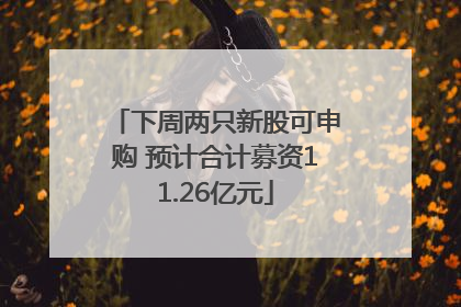 下周两只新股可申购 预计合计募资11.26亿元