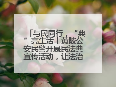 与民同行，“典”亮生活丨黄陂公安民警开展民法典宣传活动，让法治精神在群众心中落地生根